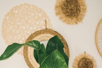 Indoor plants