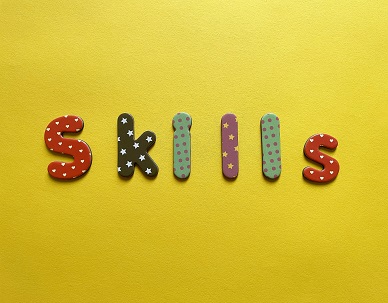 Career Skills