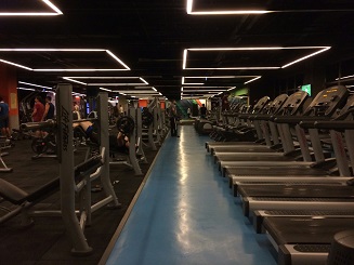 current fitness trends